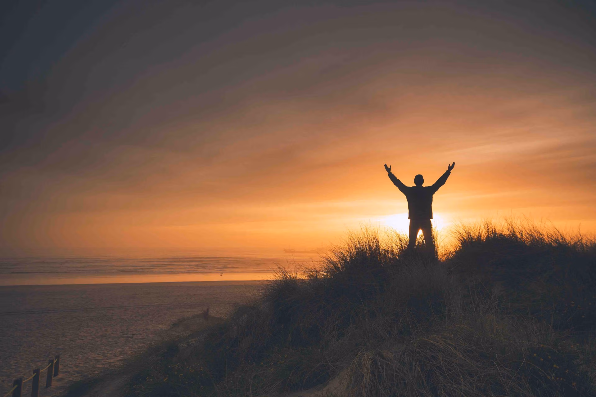 freedom in language learning